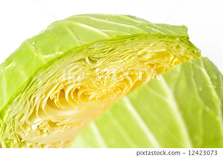Cut the cabbage. Cut the cabbage. 12423073