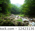 Clear stream 12423136
