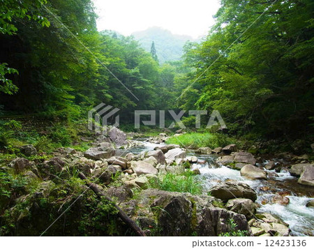 Clear stream Clear stream 12423136
