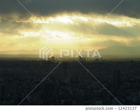 城市 城市 12423137
