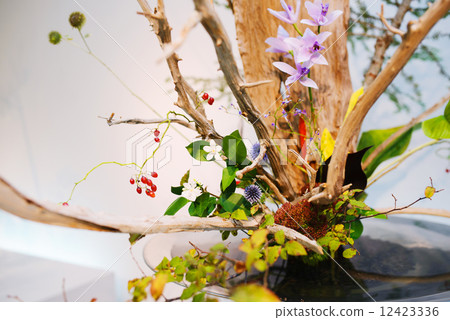 Japanese ikebana. Flower arrangement Japanese ikebana. Flower arrangement 12423336