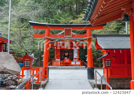 九龍神社新宮鳥居鳥居 12423847