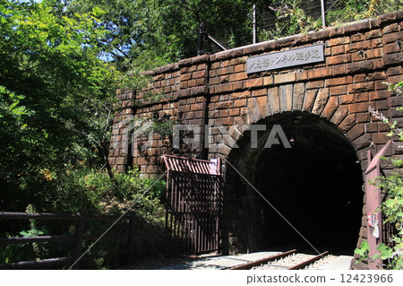Great Shaded Tunnel Promenade 12423966