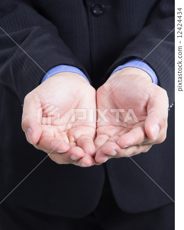 Businessman Businessman 12424434
