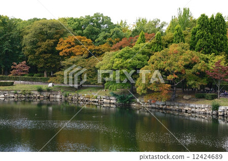 Autumn Osaka Castle Park 12424689