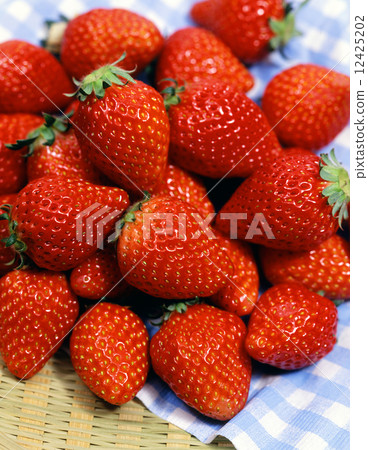一個草莓 12425202