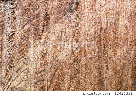wood texture. background old panels 12425351