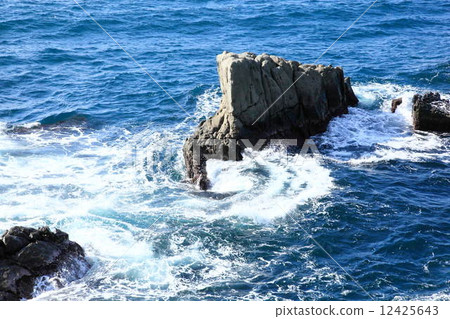 日本海 12425643