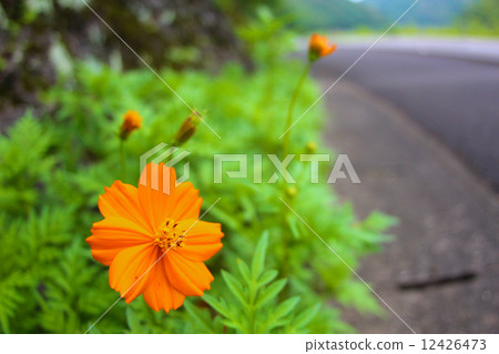 路邊的宇宙 12426473