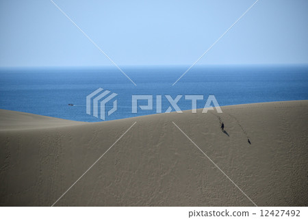 Tottori sand dunes 12427492
