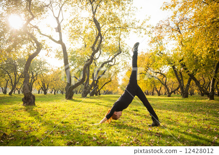 Woman doing yoga in autumn park Woman doing yoga in autumn park 12428012