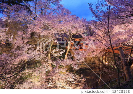 Takataka Castle Ruins at night 12428138