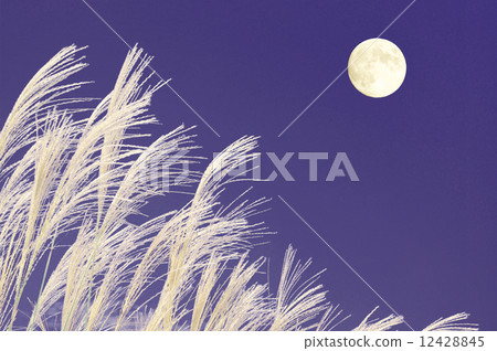 Monday and Susuki 12428845