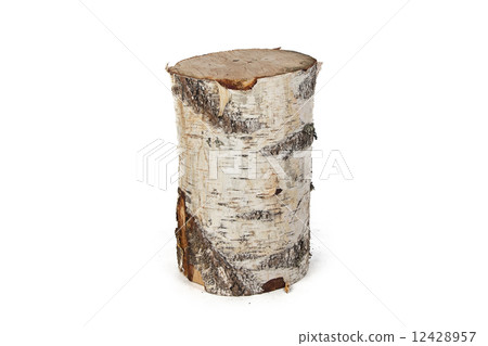 Isolated photo of birch stump Isolated photo of birch stump 12428957