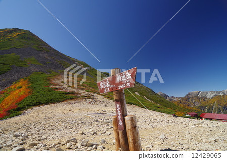 Ideas and Omotesandake Ideas and Omotesandake 12429065