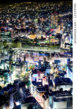 東京的夜景 東京的夜景 12429389