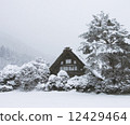 Shirakawago 1 12429464