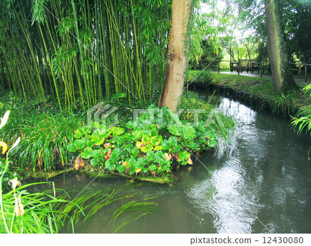 莫奈的池塘 12430080