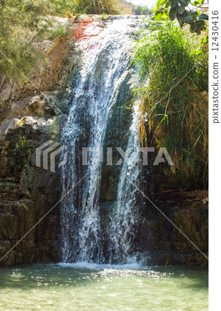 Ein Gedi spring, Israel. 12430416
