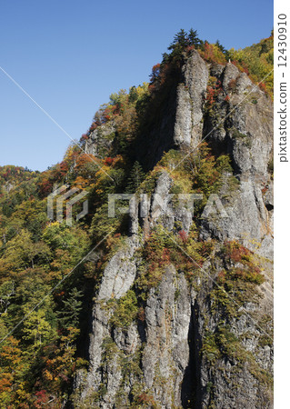 Autumn leaves of Toyohira Gorge 12430910