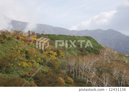 知床的秋葉 知床的秋葉 12431136