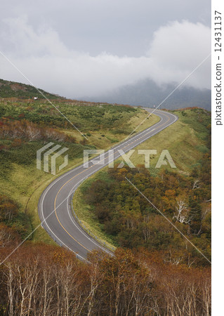 知床的秋葉 12431137