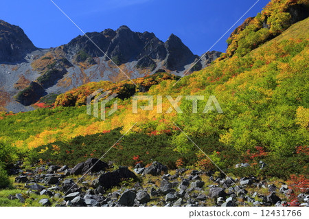 In the Fukuzawa in autumn (North Alps) 12431766