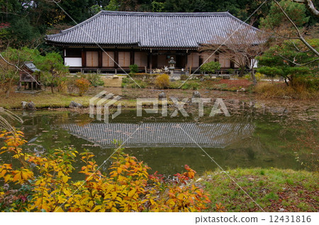 Joruri寺 12431816