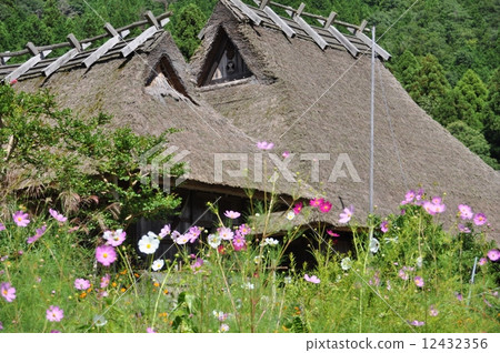 白菜屋頂和鮮花3 白菜屋頂和鮮花3 12432356