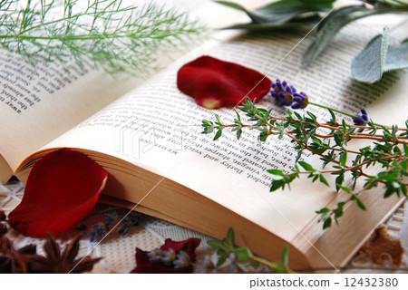 Herbs and books 12432380