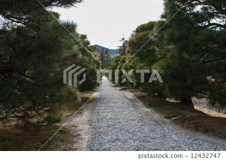 Shogakuin皇宮Namiki 12432747