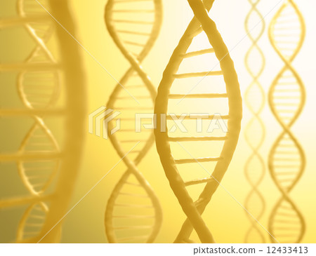 DNA Sequence 12433413