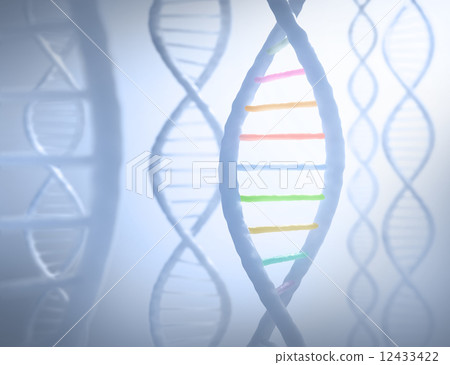 DNA Sequence 12433422