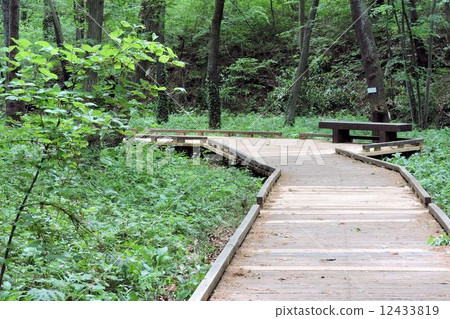 Kido / Komiya Park 12433819