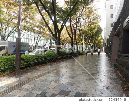 Omotesando 12434946