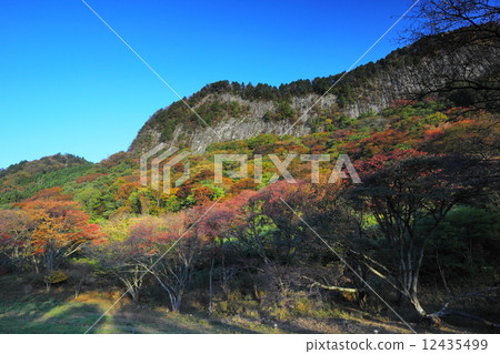 葉子岩石花園Kamikura的秋葉 葉子岩石花園Kamikura的秋葉 12435499