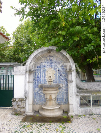 Azulejo's water service 12436224