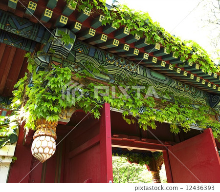 Chinese garden 12436393