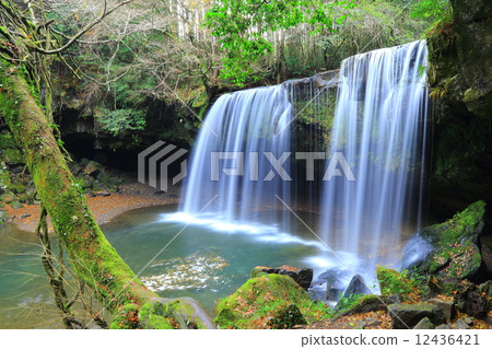 Nabatagi Fall 3 Nabatagi Fall 3 12436421