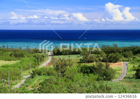 Scenery of Tamagu Island 12436616