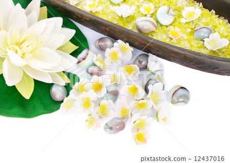 Flowers and stones Flowers and stones 12437016