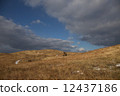 Karst 12437186