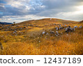 Karst 12437189