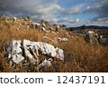 Karst 12437191