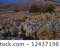 Karst 12437198