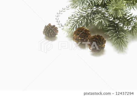Christmas Image Christmas Image 12437294