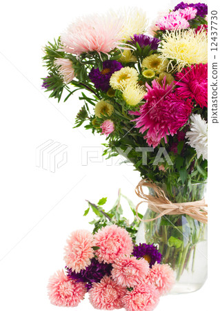 mix of aster flowers mix of aster flowers 12437730