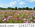 Cosmos ③ 12437739