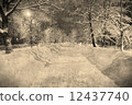 Winter night snowy street with moon in retro vintage style, aged photo 12437740