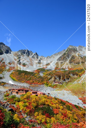 Fukuzawa curl's autumn leaves 12437820